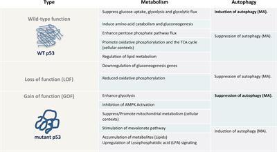 Mutant p53 as a Regulator and Target of Autophagy